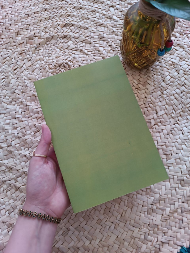 دارالمجانین اثر محمدعلی جمالزاده