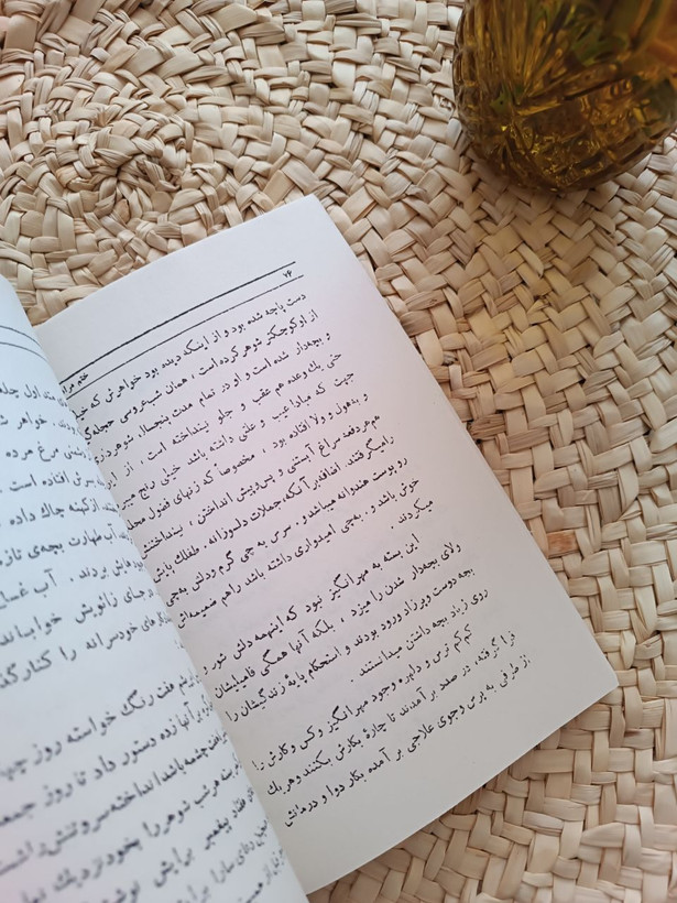 انیسه خانوم اثر جعفر شهری
