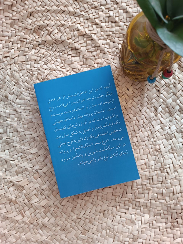 مرغ سحر اثر پروانه بهار