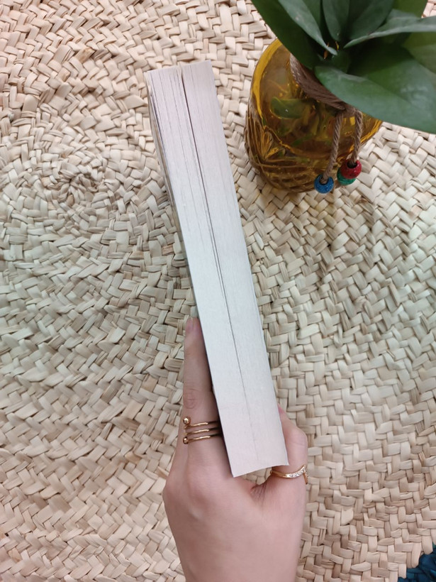 حرمسرای قذافی اثر آنیک کوژان