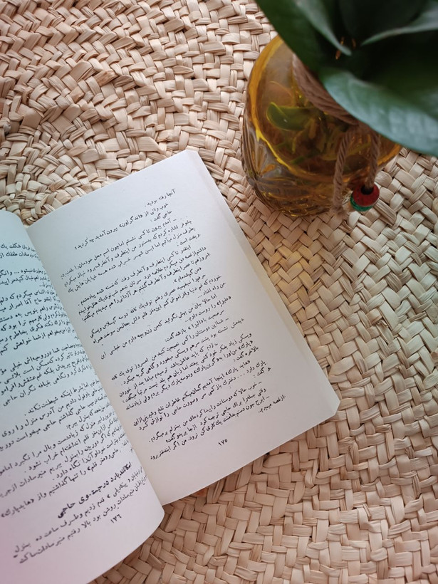 حاج مم جعفر در پاریس اثر ایرج پزشکزاد