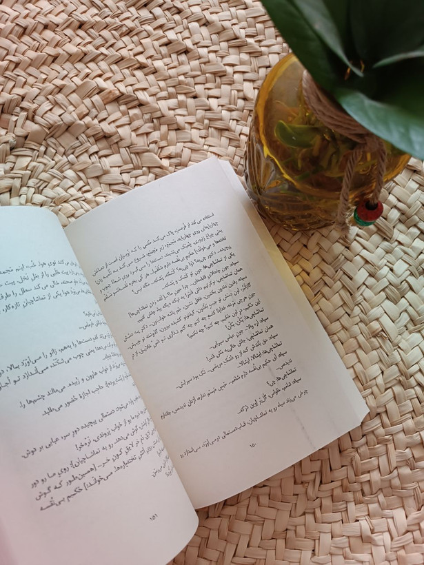 شهر نو اثر محمود زند مقدم