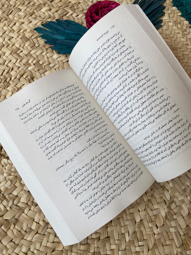 تربیت احساسات اثر گوستاو فلوبر