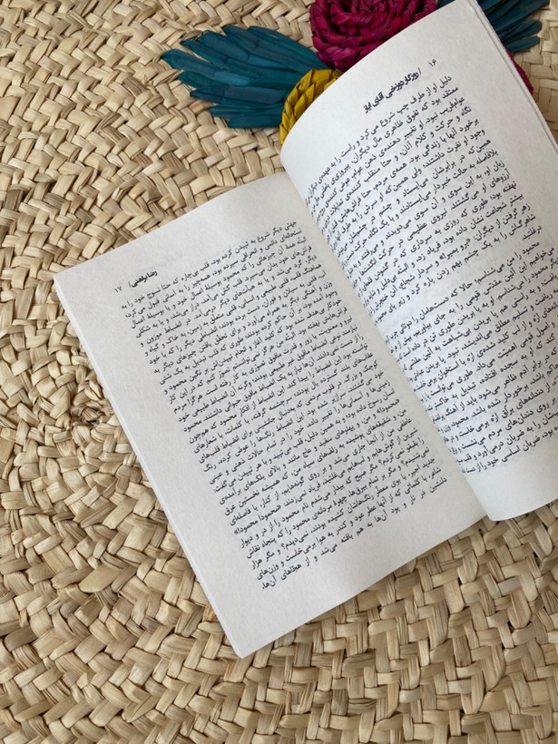 روزگار دوزخی آقای ایاز اثر رضا براهنی