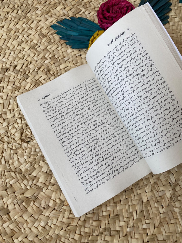 روزگار دوزخی آقای ایاز اثر رضا براهنی