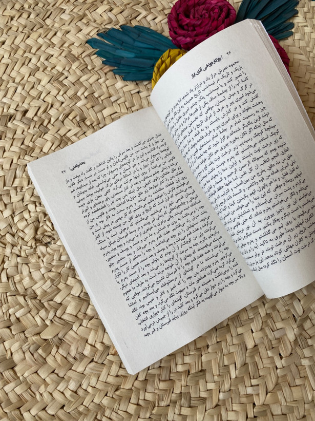 روزگار دوزخی آقای ایاز اثر رضا براهنی