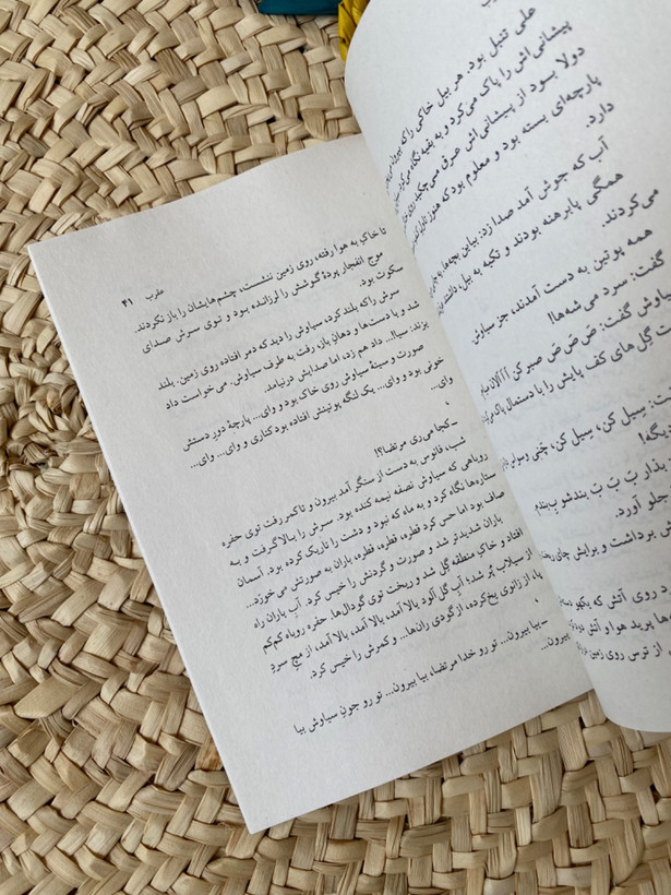 عقرب روی پله های راه آهن اندیمشک حسین مرتضائیان آبکنار