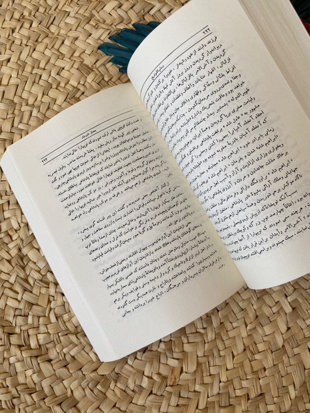 رستم التواریخ اثر محمد هاشم آصف