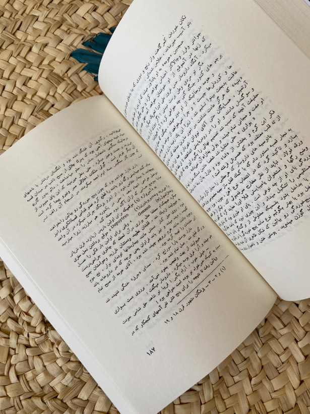 مادام بواری اثر گوستاو فلوبر
