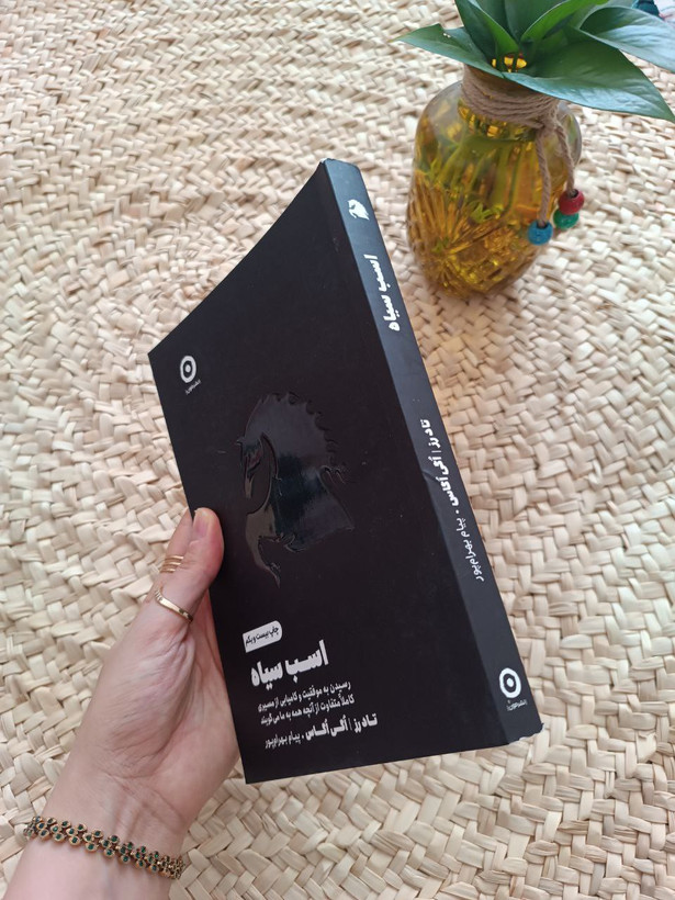 کتاب اسب سیاه اثر تاد رز ترجمه پیام بهرامپور مسیر متفاوت موفقیت