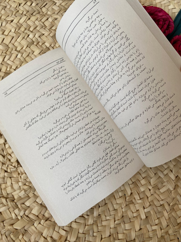 زمین سوخته اثر احمد محمود