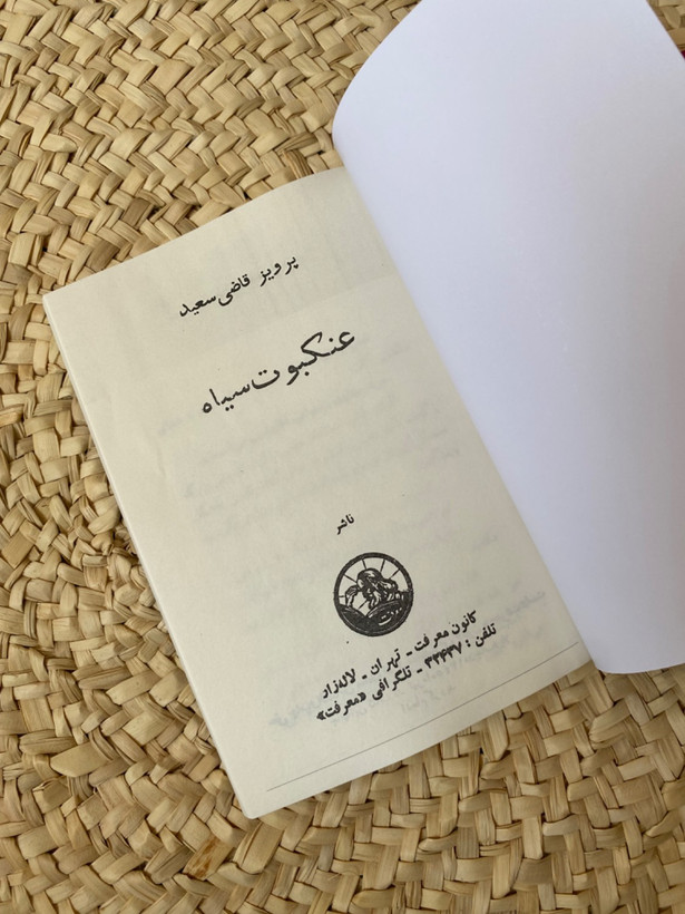 عنکبوت سیاه اثر پرویز قاضی سعید