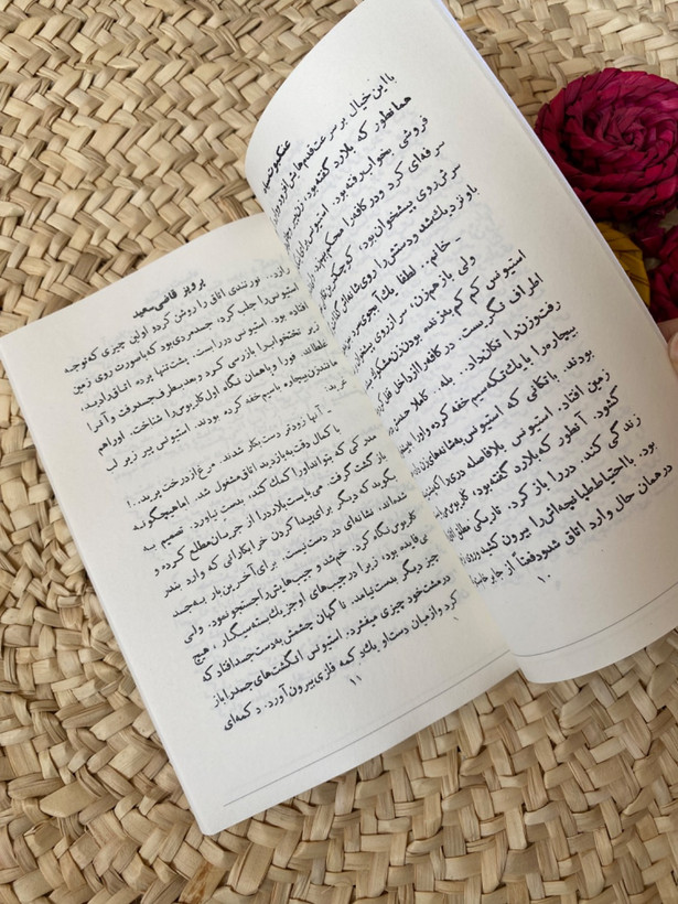 عنکبوت سیاه اثر پرویز قاضی سعید