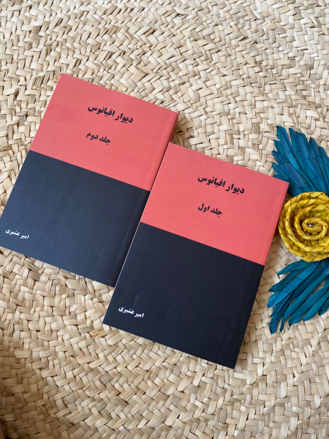 دیوار اقیانوس اثر امیر عشیری